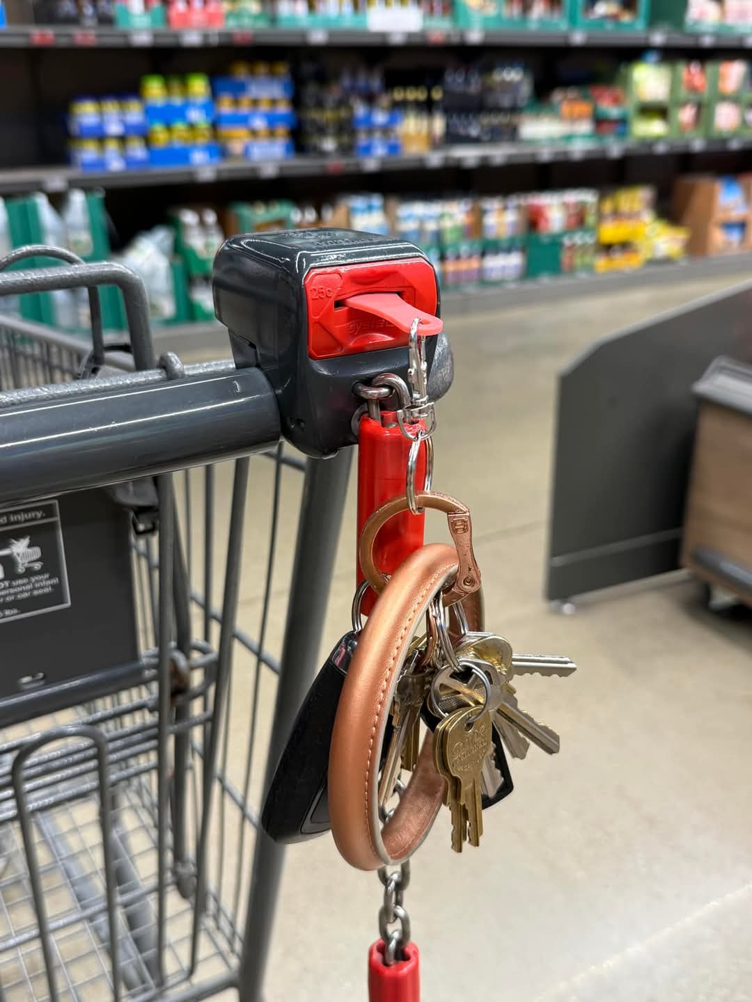 shows quarter saver in use with the keychain inserted in quarter slot on shopping cart